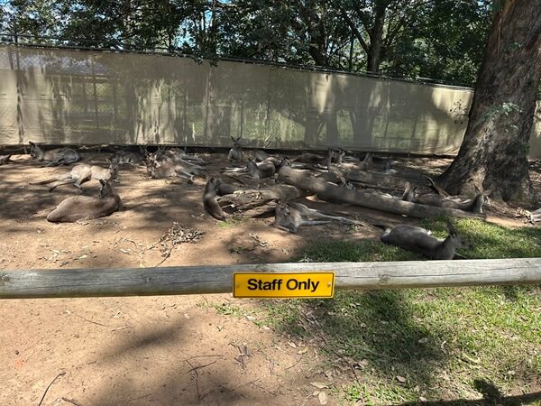 There's no doubt who runs the park!