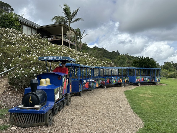 The kids will love getting photos on the old train