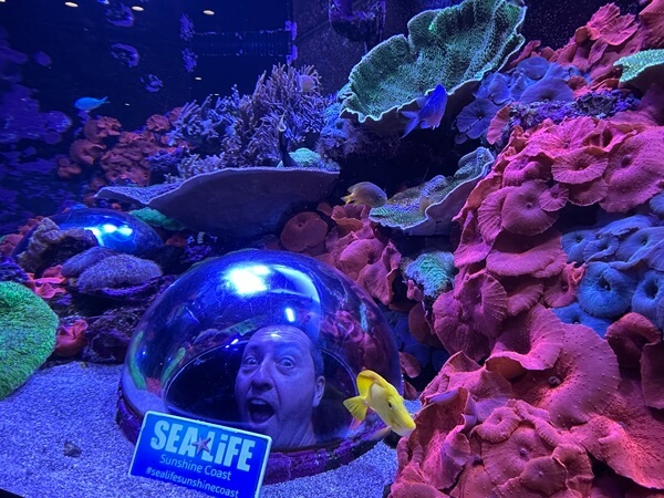 Up close and personal with Nemo and friends