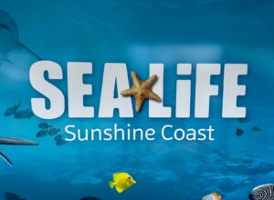 Sea Life Sunshine Coast