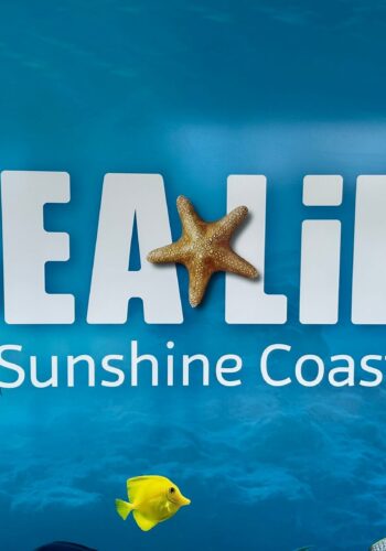 Sea Life Sunshine Coast
