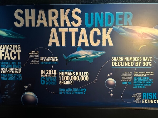 Informative posters are everywhere