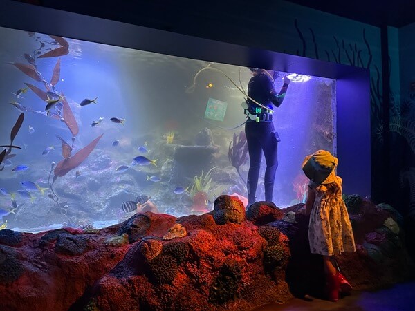 The tank cleaners are also popular!