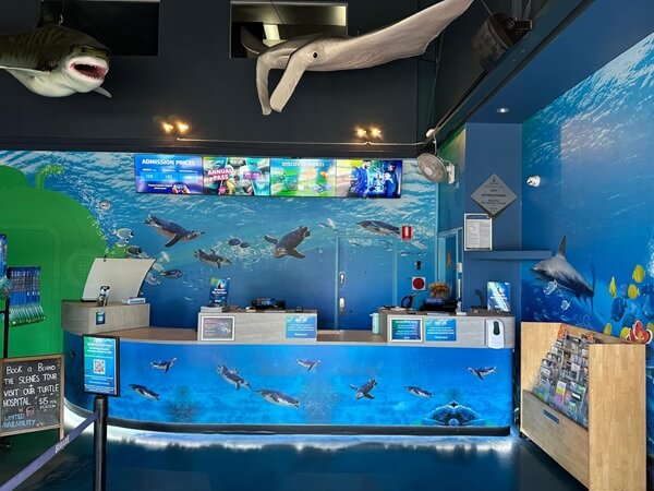 sea life sunshine coast entry