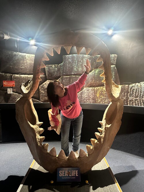The large shark jaws are popular with kids