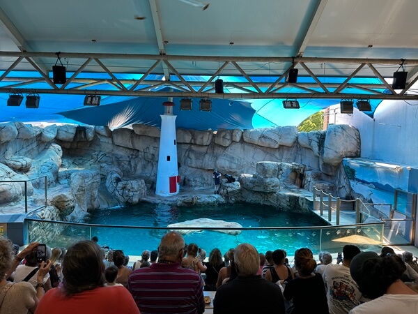 Seal island show sea life sunshine coast