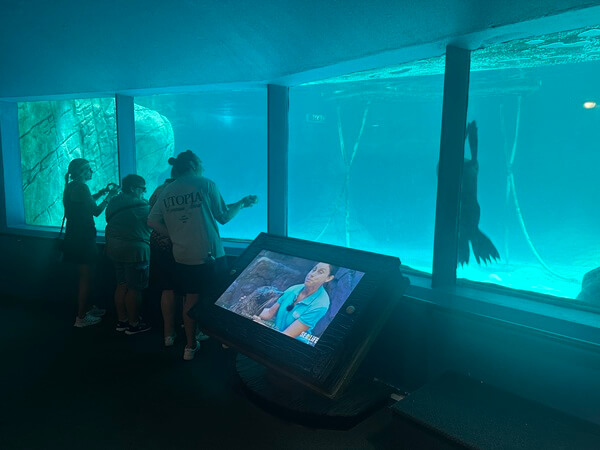 The viewing room below the seal pool