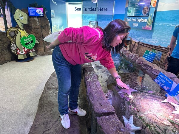 Tidal Touch Pool at Sea Life Sunshine Coast