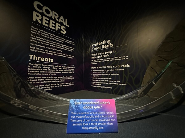 A cut out section of the underwater tunnel