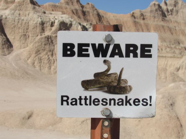 These signs are posted throughout the Badlands to remind hikers to watch their surroundings!