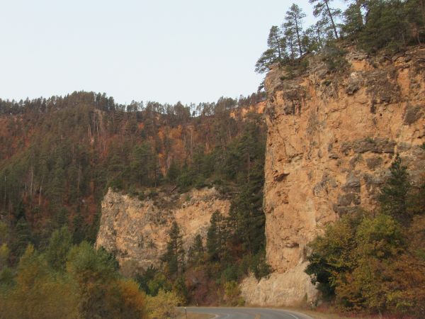 Spearfish Canyon is a great scenic drive in the Black Hills.