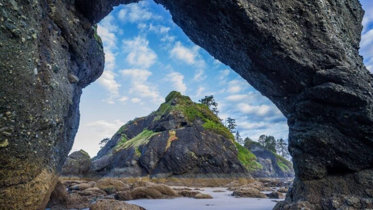 Things to do in Olympic National Park