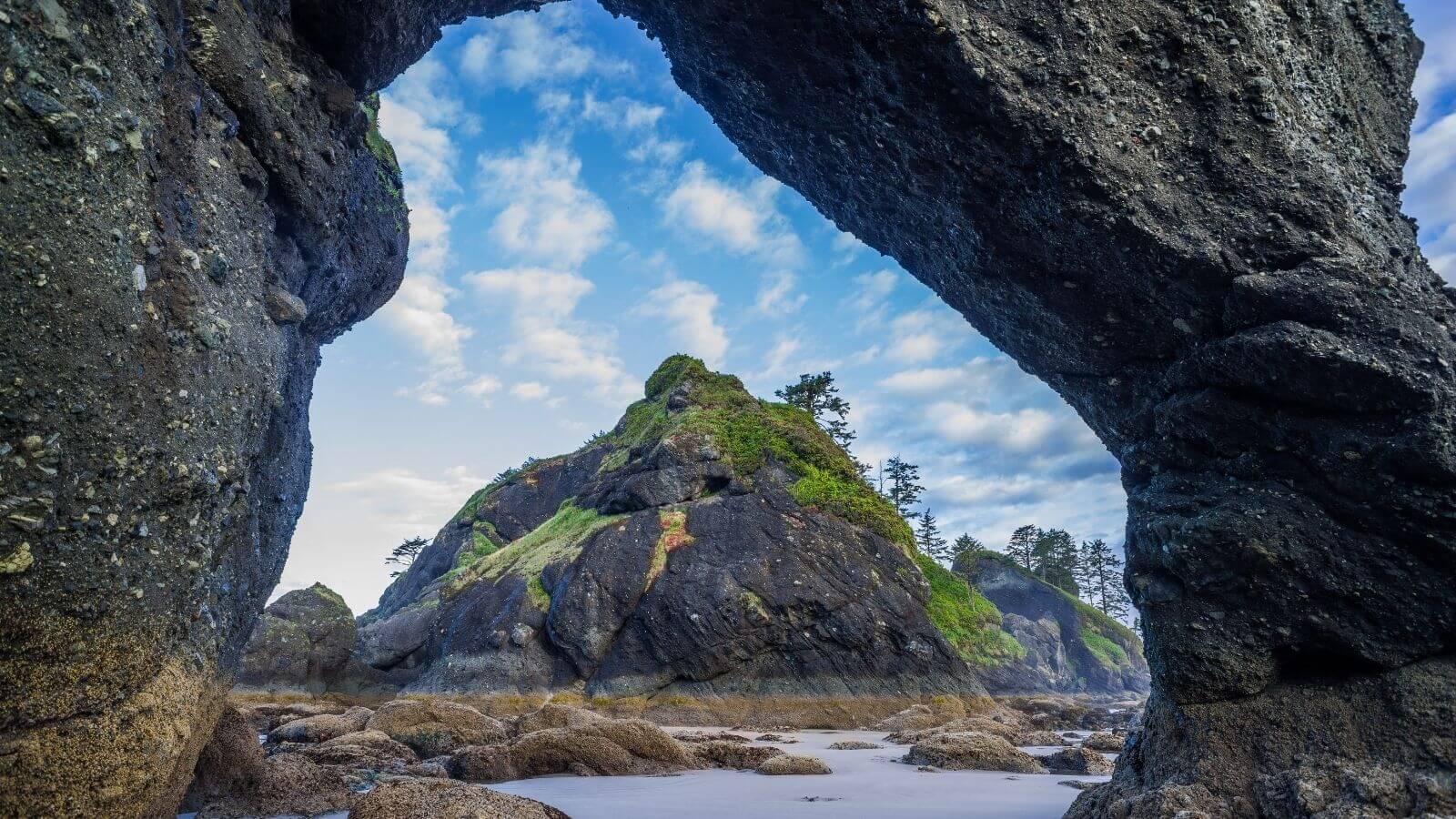 19 Things to do at Olympic National Park