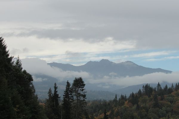 Drive up to Olympic National park