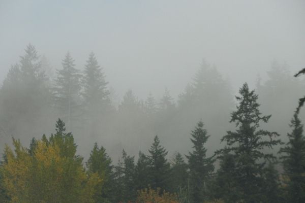 Even if it isn’t raining, expect plenty of moisture in the air during your backcountry hike