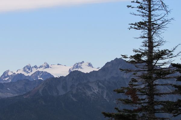 Hurricane Ridge is the center of many fun winter activities.
