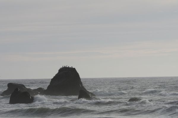 Waves and sea stacks provide a peaceful atmosphere.