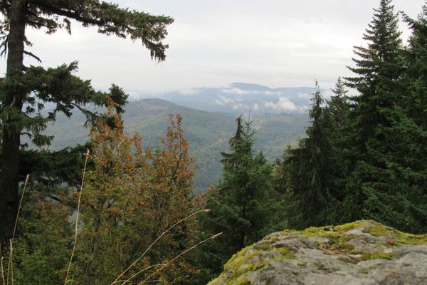 cloudy, foggy conditions are common throughout Olympic National Park