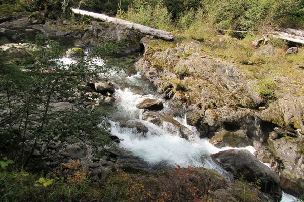 The Salmon Cascades provide an area of noisy whitewater along the Sol Duc River.