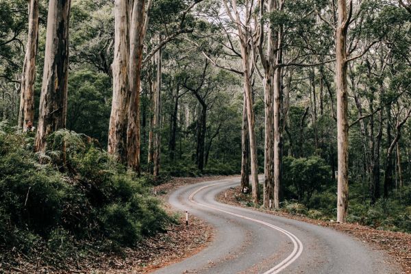 Iconic Caves Road