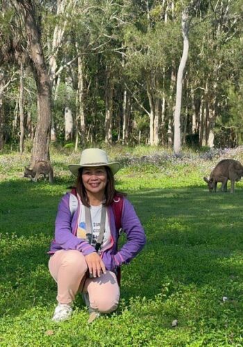 Kangaroos on the Gold Coast