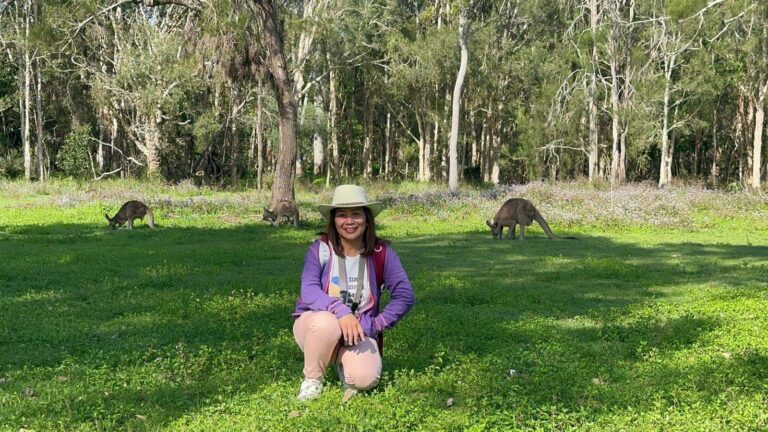 Kangaroos on the Gold Coast
